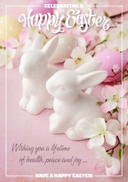 Pink Happy Easter greeting card (with editable text and animation) two white bunnies, pink eggs, white spring flowers - Image