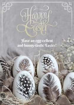White & silver Happy Easter greeting card (with editable text and animation) white chicken eggs neatly covered with black quail feathers